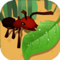 蚂蚁进化3d最新版