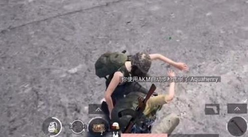 和平精英背人功能设置方法