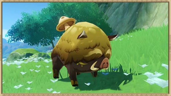 原神蕈猪刷新位置