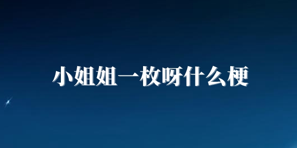 小姐姐一枚呀梗意思介绍