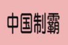 中国制霸生成器怎么用