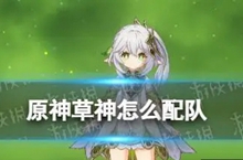 原神草神怎么进行配对