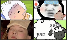 小阳人表情包大全