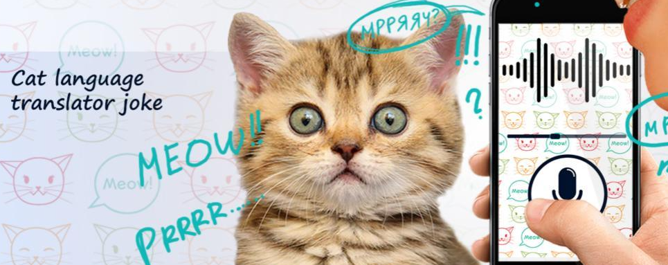 排名前十的宠物翻译器推荐