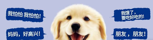 好用的宠物翻译器