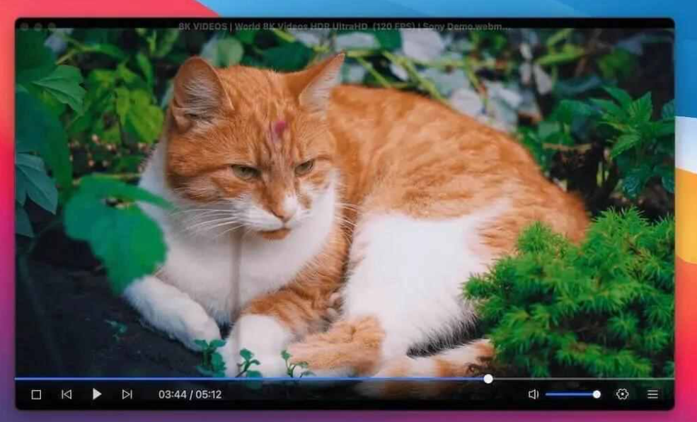 高清电视网络播放器推荐