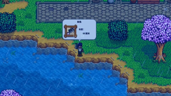 星露谷物语鲶鱼位置介绍