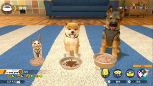 可爱的宠物游戏版本大全