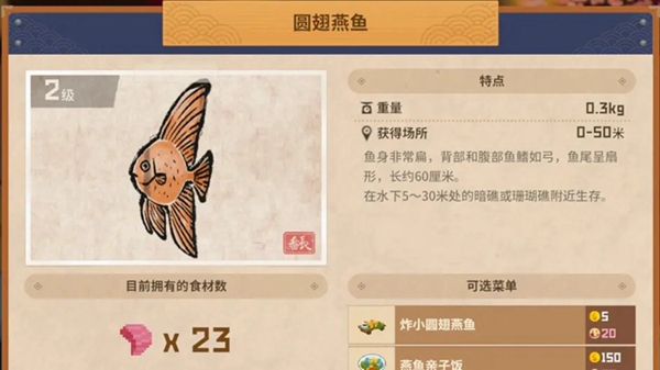 潜水员戴夫圆翅燕鱼怎么抓