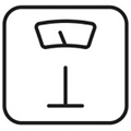 touchscale正版