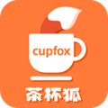 茶杯狐