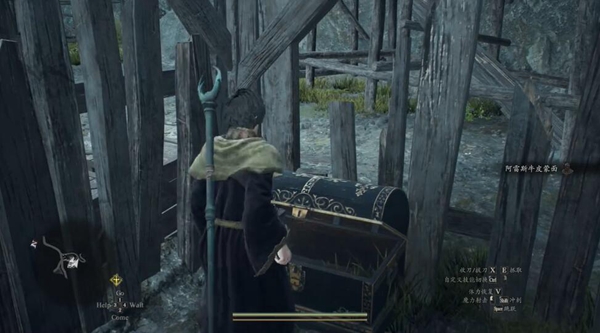 龙之信条2阿雷斯牛皮蒙面获得方法