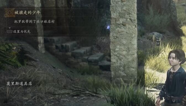 龙之信条2被掳走的少年攻略
