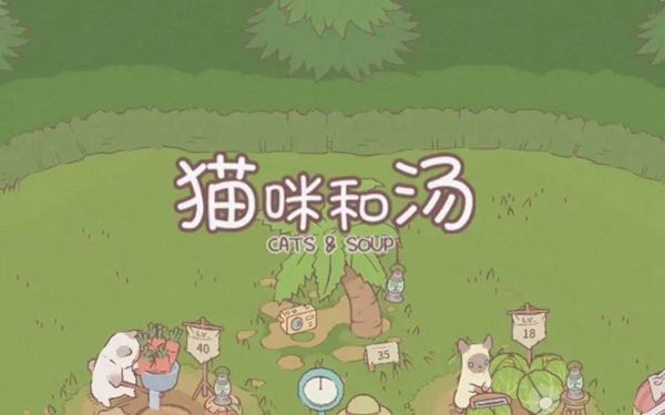 猫咪和汤主题有哪些