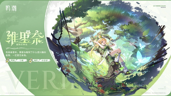 维里奈培养材料