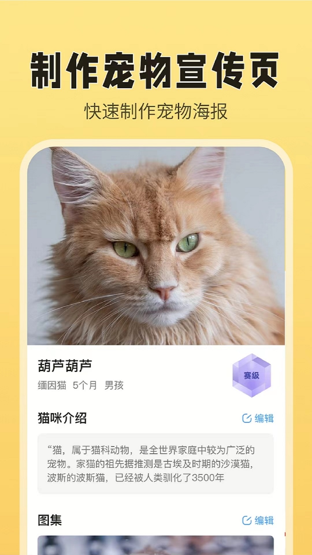 猫老板猫舍管理