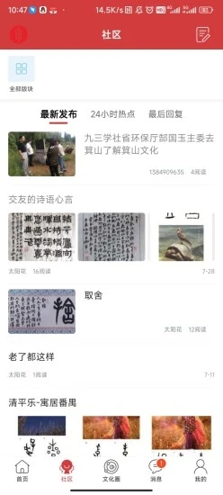 中文化网