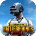 pubg国际服安卓版