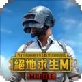 pubg国际服手游