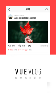 VUE Vlog