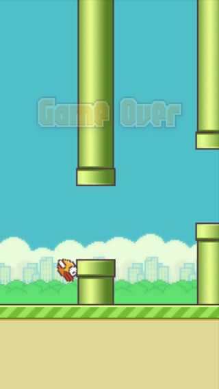 flappy bird