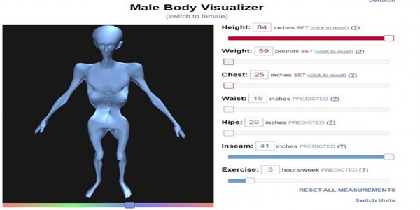 BodyVisualizer 2024