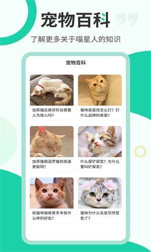 猫语翻译