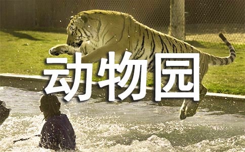 【精品】动物园作文合集5篇