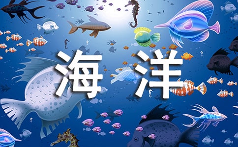 【精华】海洋作文600字集锦8篇