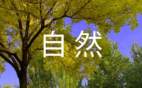 【热门】保护大自然作文10篇